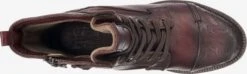 Mustang Enkellaarsjes Veterlaarsjes Dames Bordeaux -Kledinglijn Winkel 015d24fd2f91b8e69994aab0008c3bdd