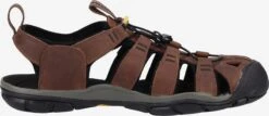 Keen Schoenen Sandalen CLEARWATER CNX Heren Brokaat -Kledinglijn Winkel 743d55e973117997079cee6326557323