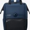 Delsey Rugzakken Rugzak Turenne Dames Blauw